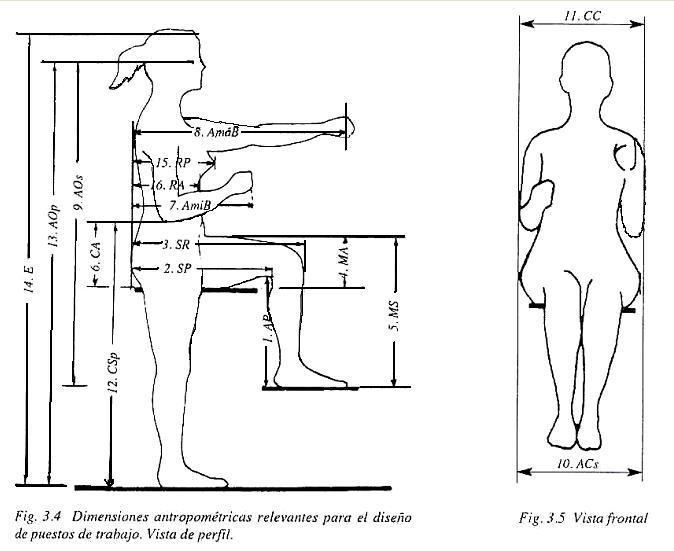 Generalidades P7 ErgonomÍa Y AntropometrÍa